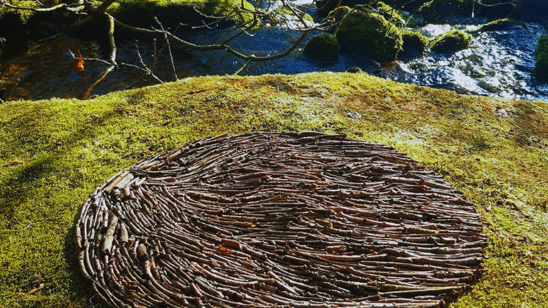 “Creating art in nature helped ease my tinnitus”: Winston’s Story